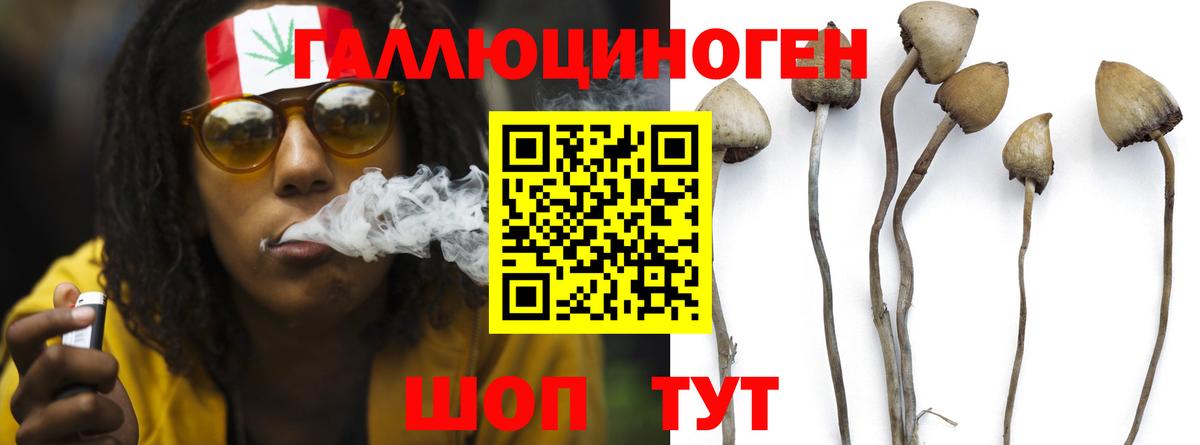 Псилоцибиновые грибы мицелий  Вход с VPN  Дзержинск  Галлюциногенные грибы мухоморы 